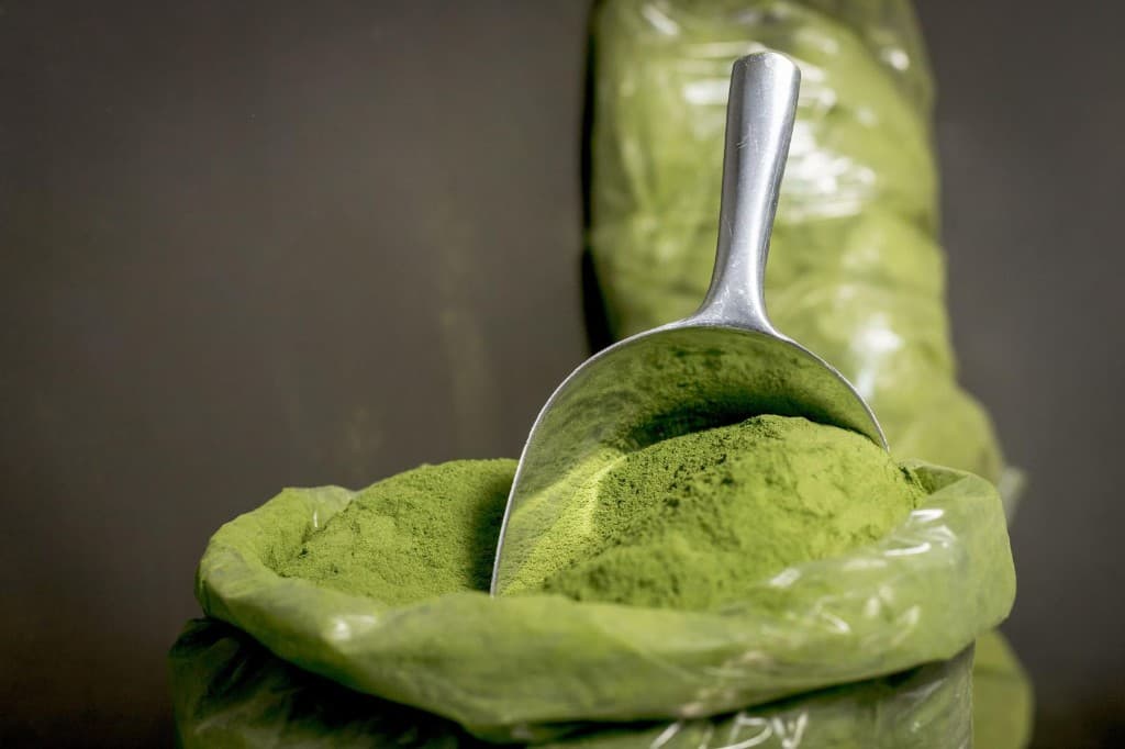 Moringa Powder